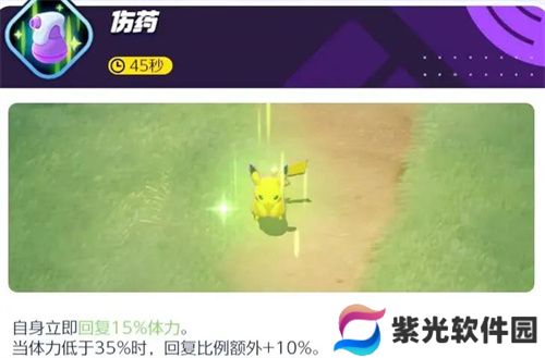 宝可梦大集结胖可丁对战道具怎么选