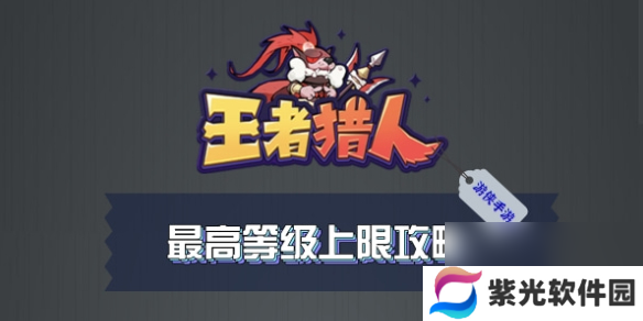 王者猎人最高等级上限