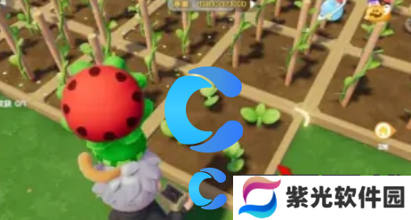 心动小镇奇灵夜季南瓜雕刻玩法