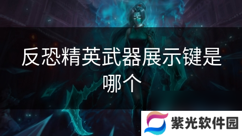 反恐精英武器展示键是哪个