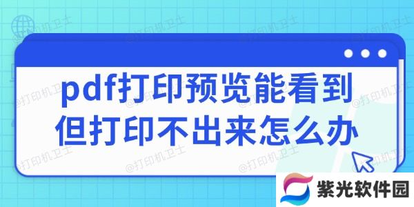 pdf打印预览能看到但打印不出来怎么办