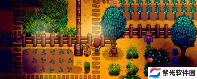 星露谷物语秘密森林是什么地方 星露谷物语秘密森林介绍