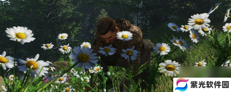 《天国：拯救2》用夜鹰药剂注意事项分享